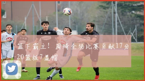 篮下霸主!周琦全场比赛贡献17分20篮板7盖帽