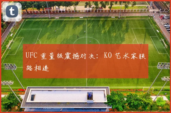 UFC 重量级震撼对决:KO 艺术家狭路相逢