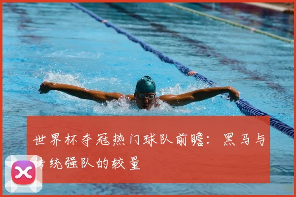 世界杯夺冠热门球队前瞻:黑马与传统强队的较量