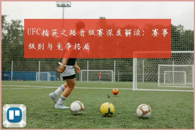 UFC精英之路晋级赛深度解读:赛事级别与竞争格局