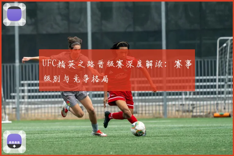 UFC精英之路晋级赛深度解读：赛事级别与竞争格局